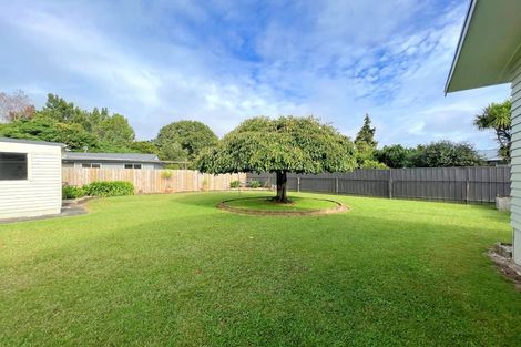 Photo of property in 41 Fitzroy Avenue, Fitzroy, Hamilton, 3206