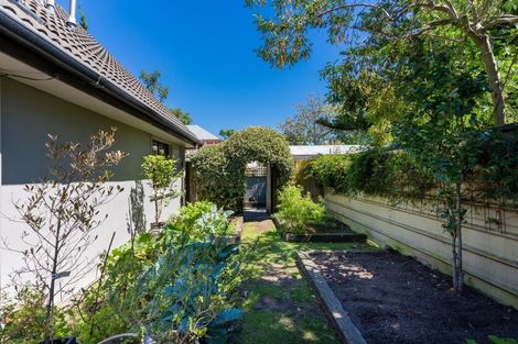 Photo of property in 311 College Street, West End, Palmerston North, 4410