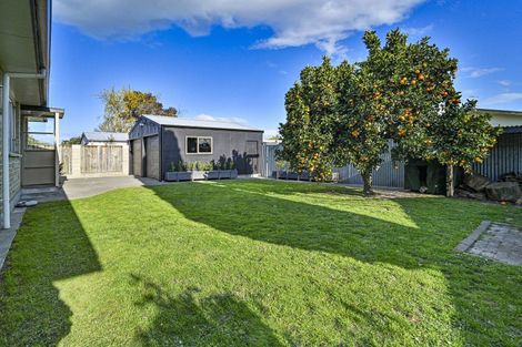 Photo of property in 19 Margate Avenue, Flaxmere, Hastings, 4120