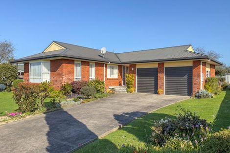 Photo of property in 61 Hayward Road, Ngatea, 3503