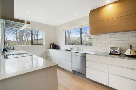 Photo of property in 59 Wanaka-mount Aspiring Road, Wanaka, 9305