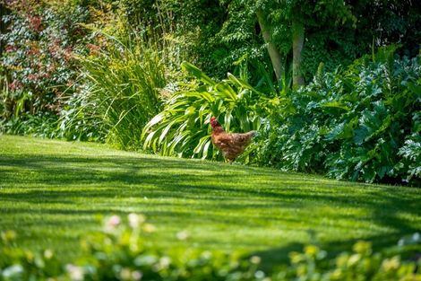 Photo of property in 14 Tamihana Avenue, Fairfield, Hamilton, 3214