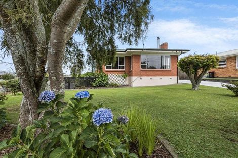 Photo of property in 7 Totara Avenue, Matamata, 3400