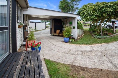 Photo of property in 22 Bledisloe Avenue, Putaruru, 3411