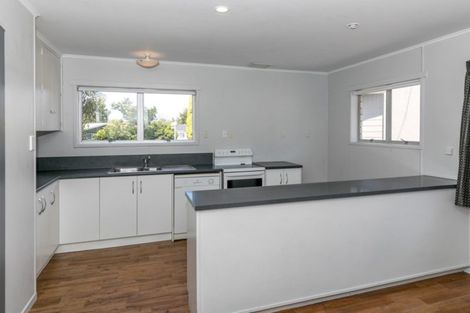 Photo of property in 19 Caernarvon Street, Dinsdale, Hamilton, 3204