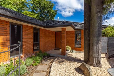 Photo of property in 10 Stephenson Street, Blenheim, 7201