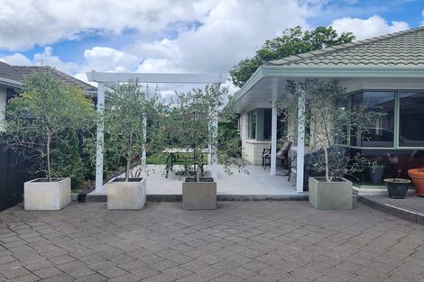 Photo of property in 66 Thirteenth Avenue, Tauranga South, Tauranga, 3112