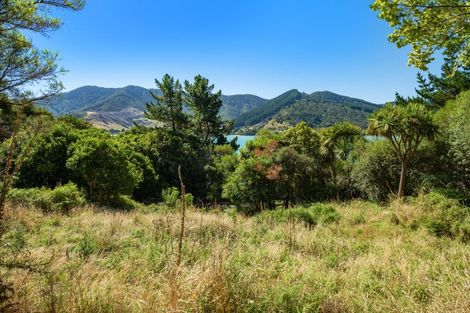 Photo of property in Waitaria Bay, Waitaria Bay, Picton, 7282