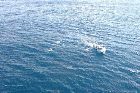 Photo of property in 1 Nunu Drive, Flat Point, Masterton, 5883