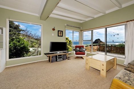 Photo of property in 25 Rayner Road, Piha, 0772