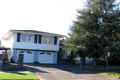 Photo of property in 117 Dittmer Drive, West End, Palmerston North, 4412