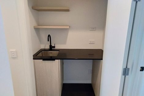 Photo of property in 501/8 Kingsland Terrace, Kingsland, Auckland, 1021