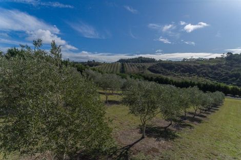 Photo of property in 72 Leccino Valley Road, Mangonui, 0494