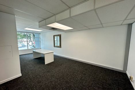 Photo of property in 8a Madeira Lane, Grafton, Auckland, 1023