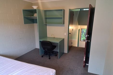 Photo of property in 63 Opoho Road, North East Valley, Dunedin, 9010