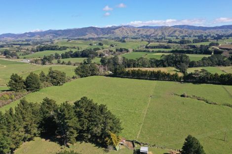 Photo of property in 45 Marchant Street, Eketahuna, 4900