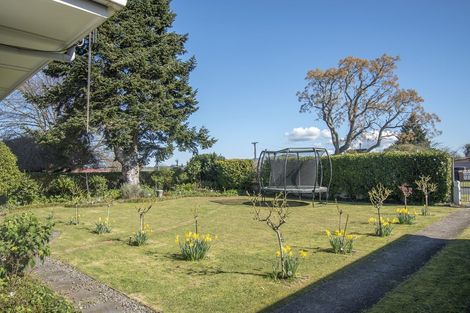 Photo of property in 10 Hampton Terrace, Matamata, 3400