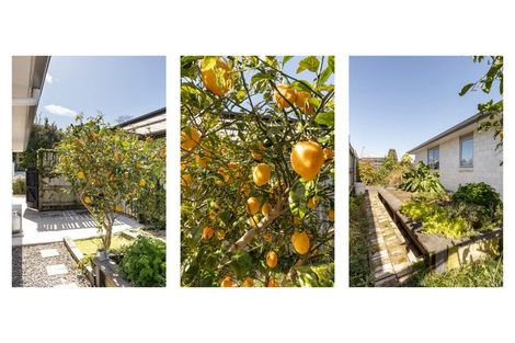 Photo of property in 84d Margaret Drive, Omokoroa, 3114