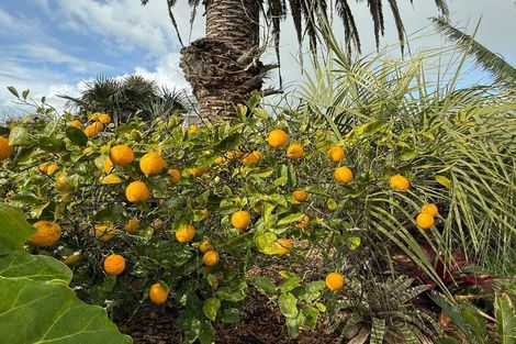 Photo of property in 44 Hume Street, Waitara, 4320