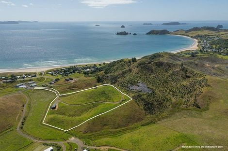Photo of property in 838 Black Jack Road, Opito Bay, Whitianga, 3592