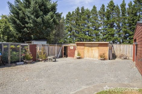 Photo of property in 69 Frederick Street, Carterton, 5713