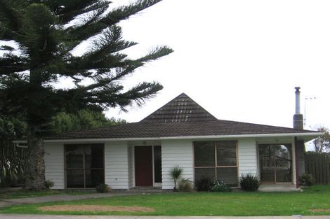 Photo of property in 6 Raleigh Street, Levin, 5510