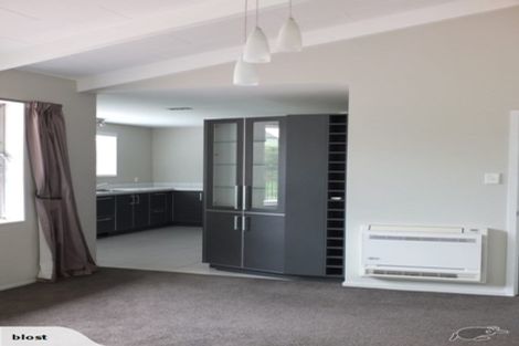Photo of property in 1 Esher Place, Saint Martins, Christchurch, 8022