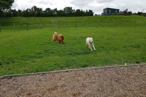 Photo of property in 1 Murillo Place, Henderson, Auckland, 0612