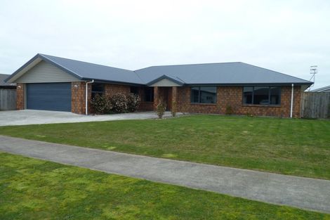 Photo of property in 17 Accolade Street, Feilding, 4702
