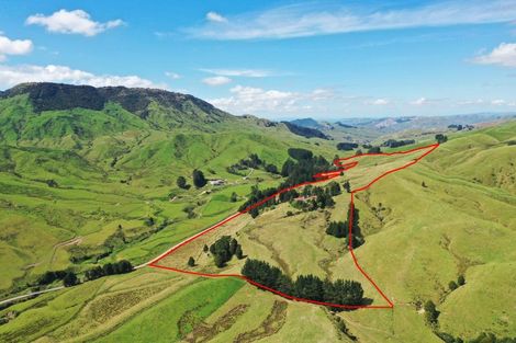 Photo of property in 3319 Whakarau Road, Motu, Te Karaka, 4092