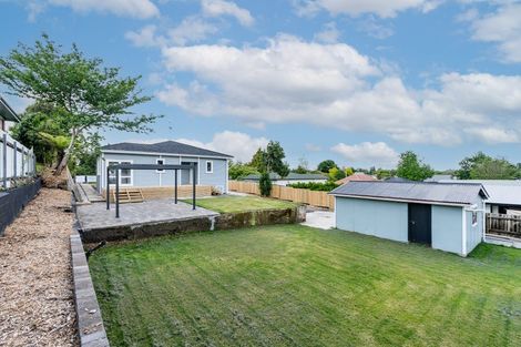 Photo of property in 17 Hinau Street, Maeroa, Hamilton, 3200