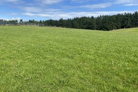 Photo of property in 47 Downs Road, Geraldine, 7991