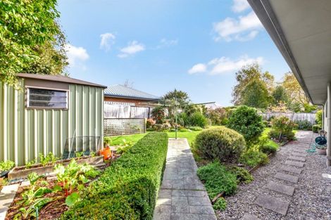 Photo of property in 12 Appaloosa Avenue, Richmond, 7020