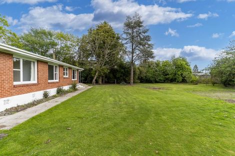 Photo of property in 36 Dryden Street, Milton, 9220