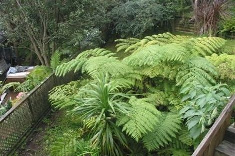 Photo of property in 175 Browns Bay Road, Browns Bay, Auckland, 0630