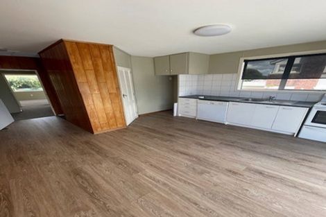 Photo of property in 57 Tripoli Road, Panmure, Auckland, 1072