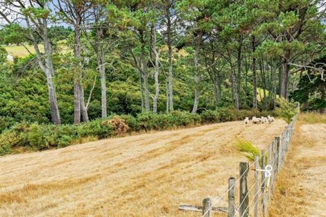 Photo of property in 58 Sheffield Road, Helensville, 0875