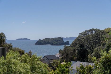 Photo of property in 29 Ohinau Drive, Opito Bay, Whitianga, 3592