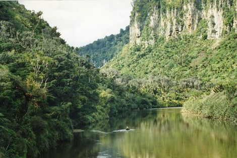 Photo of property in 4423 State Highway 6, Punakaiki, 7873