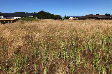 Photo of property in 157 Karuhiruhi Street, Waikanae, 5036