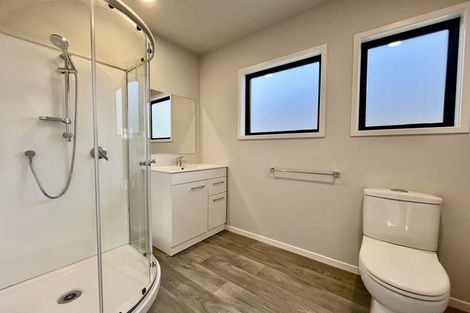 Photo of property in 210a Panama Road, Mount Wellington, Auckland, 1062