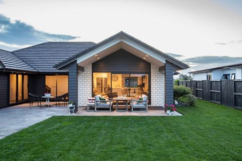 Photo of property in 50 Roy Hilton Drive, Flagstaff, Hamilton, 3210