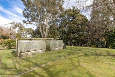 Photo of property in 134b Tipapakuku Road, Dannevirke, 4930