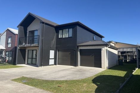 Photo of property in 45 Tennille Street, Flagstaff, Hamilton, 3210