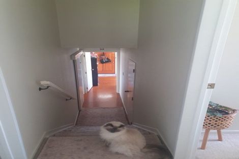 Photo of property in 1/20 Barbados Drive, Unsworth Heights, Auckland, 0632