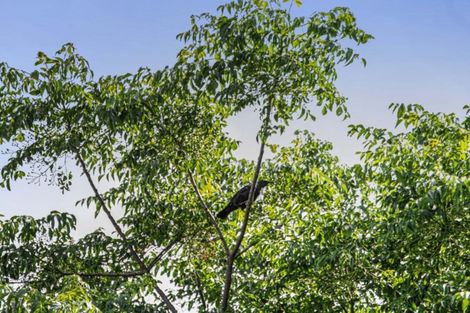 Photo of property in 1/6 Ray Small Drive, Papakura, 2110