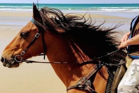 Photo of property in 4942 Hampden-palmerston Road, Bushey, Palmerston, 9482