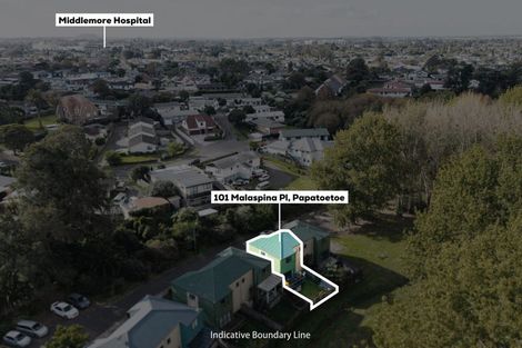 Photo of property in 101 Malaspina Place, Papatoetoe, Auckland, 2025