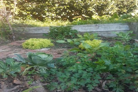 Photo of property in 38 Esk Street, Parkvale, Tauranga, 3112