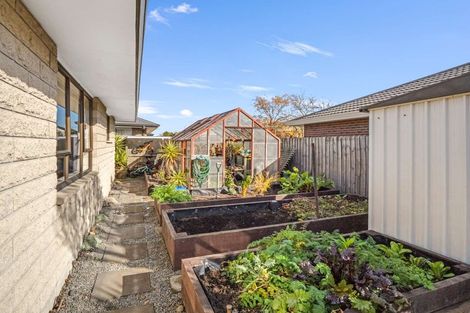 Photo of property in 4/51 Neill Street, Hornby, Christchurch, 8042